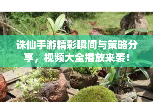 诛仙手游精彩瞬间与策略分享图片