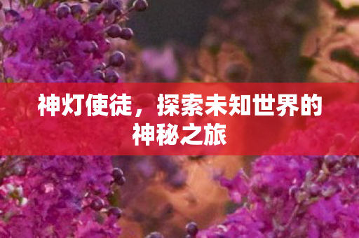 探索未知世界的神秘之旅图片