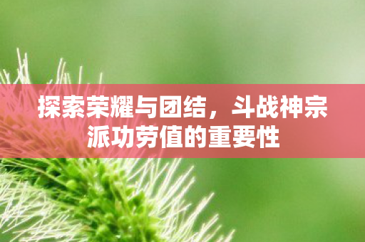 斗战神宗派功劳值的重要性图片
