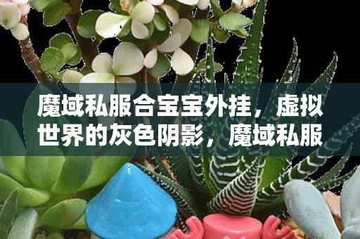魔域私服合宝宝外挂图片
