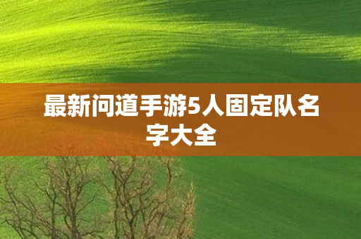 最新问道手游5人固定队名字大全图片