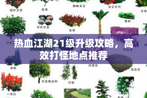 热血江湖21级升级攻略图片