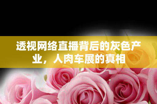 透视网络直播背后的灰色产业图片