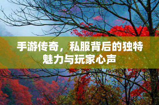 私服背后的独特魅力与玩家心声图片