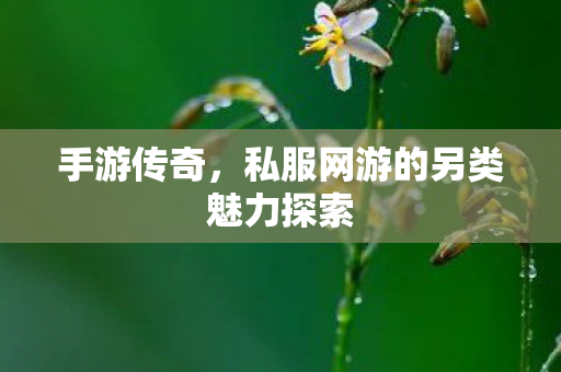 私服网游的另类魅力探索图片