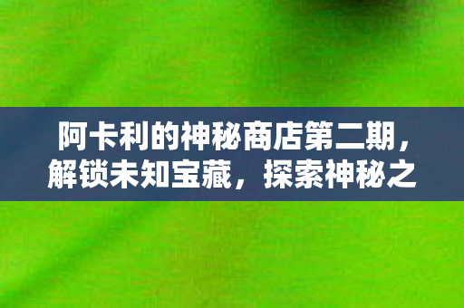 阿卡利的神秘商店第二期图片