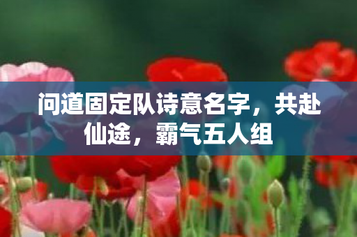 问道固定队诗意名字图片
