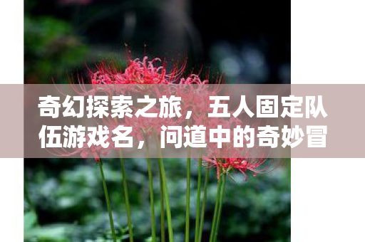 五人固定队伍游戏名图片