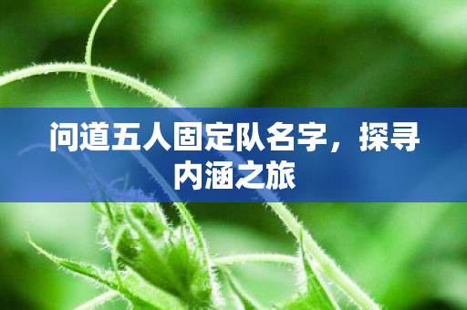 问道五人固定队名字图片