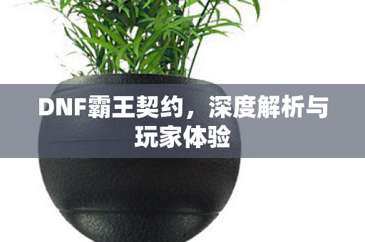 深度解析与玩家体验图片