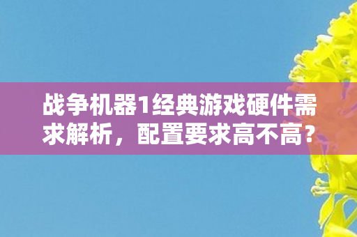 战争机器1经典游戏硬件需求解析图片