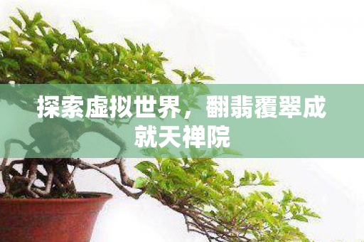 翻翡覆翠成就天禅院图片