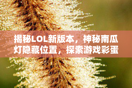 神秘南瓜灯隐藏位置图片