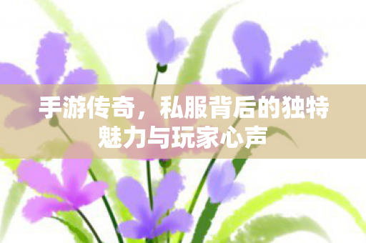 私服背后的独特魅力与玩家心声图片