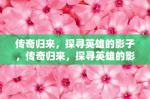 探寻英雄的影子图片