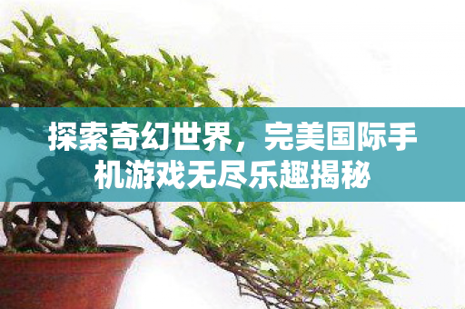 完美国际手机游戏无尽乐趣揭秘图片