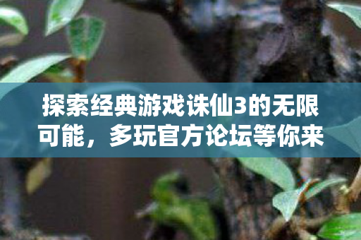 探索经典游戏诛仙3的无限可能图片