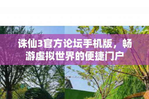 畅游虚拟世界的便捷门户图片