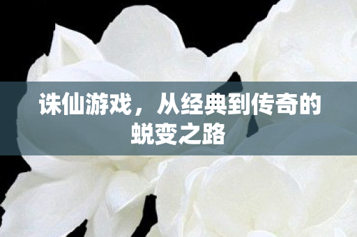 从经典到传奇的蜕变之路图片