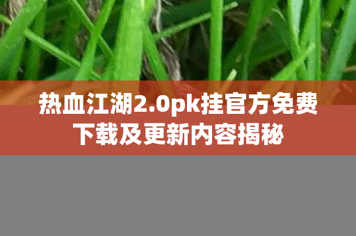 0pk挂官方免费下载及更新内容揭秘图片