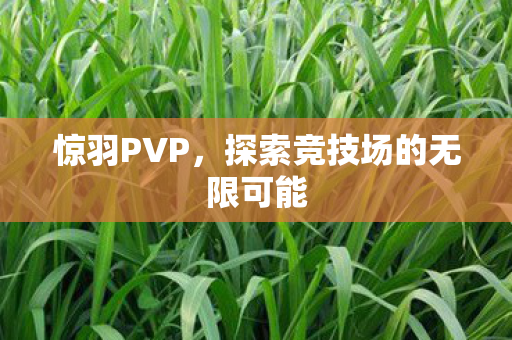 探索竞技场的无限可能图片