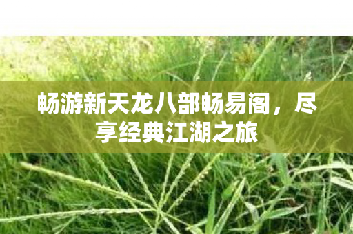 畅游新天龙八部畅易阁，尽享经典江湖之旅