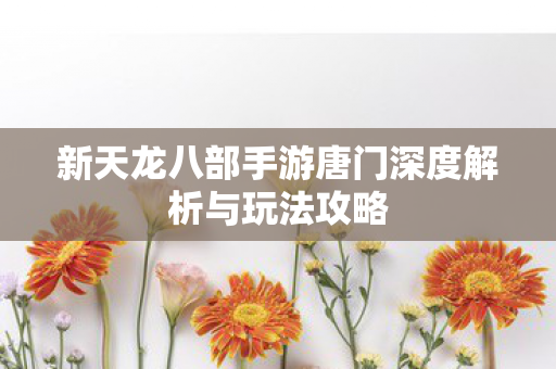 新天龙八部手游唐门深度解析与玩法攻略图片