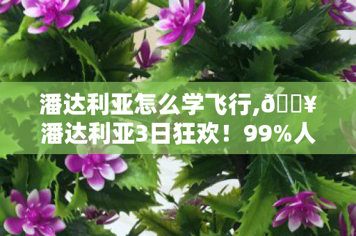 潘达利亚怎么学飞行,🔥潘达利亚3日狂欢!99%人没解锁的秘境,我哭着回来了! 潘达利亚怎么学飞行,🔥潘达利亚3日狂欢!99%人没解锁的秘境,我哭着回来了!