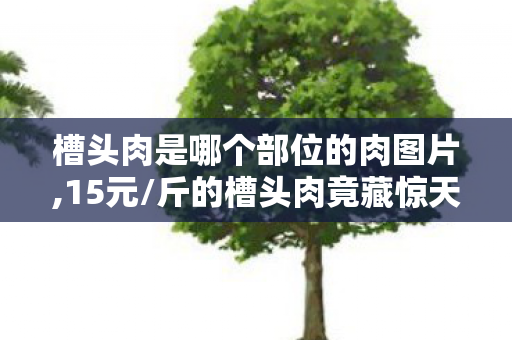 槽头肉是哪个部位的肉图片,15元/斤的槽头肉竟藏惊天隐情!离职老兵拍桌,老子当年差点被这方案枪毙! 槽头肉是哪个部位的肉图片,15元/斤的槽头肉竟藏惊天隐情!离职老兵拍桌,老子当年差点被这方案枪毙!