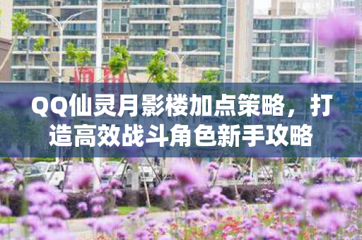 打造高效战斗角色新手攻略图片