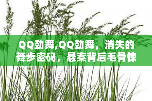QQ劲舞,QQ劲舞，消失的舞步密码，悬案背后毛骨悚然的十年囚徒