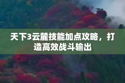 天下3云麓技能加点攻略图片