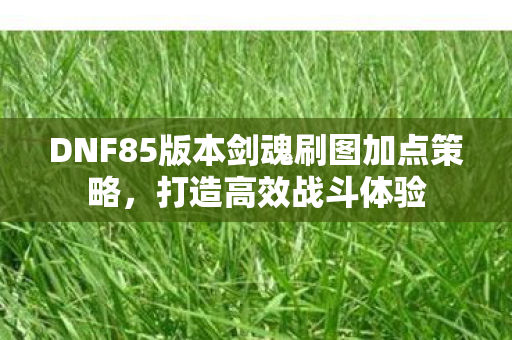 DNF85版本剑魂刷图加点策略图片