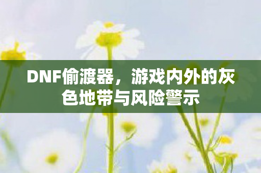 游戏内外的灰色地带与风险警示图片