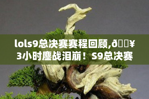 lols9总决赛赛程回顾,🔥3小时鏖战泪崩!S9总决赛这5个神操作让我喊破喉咙! lols9总决赛赛程回顾,🔥3小时鏖战泪崩!S9总决赛这5个神操作让我喊破喉咙!