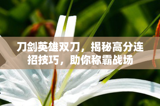 揭秘高分连招技巧图片