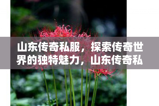 探索传奇世界的独特魅力图片