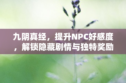 解锁隐藏剧情与独特奖励秘籍图片