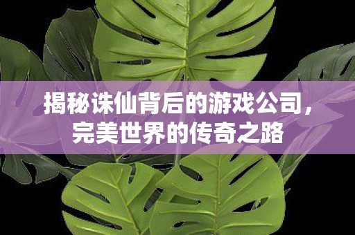 揭秘诛仙背后的游戏公司图片