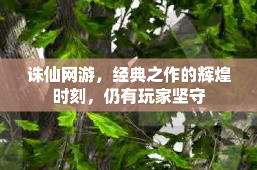 经典之作的辉煌时刻图片