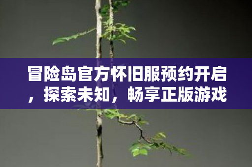 冒险岛官方怀旧服预约开启图片