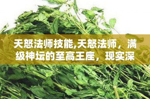 天怒法师技能,天怒法师,满级神坛的至高王座,现实深渊的卑微蝼蚁 天怒法师技能,天怒法师,满级神坛的至高王座,现实深渊的卑微蝼蚁