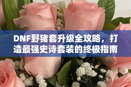 打造最强史诗套装的终极指南图片