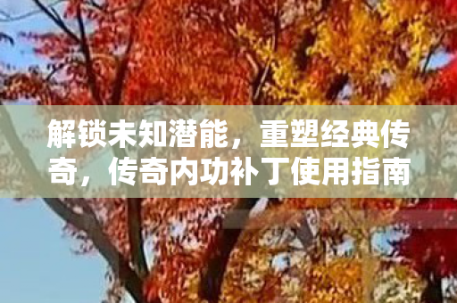 传奇内功补丁使用指南图片