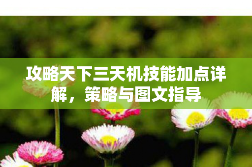 攻略天下三天机技能加点详解图片