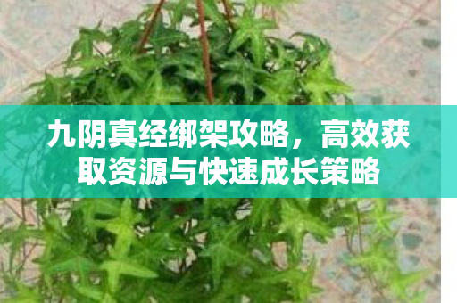 高效获取资源与快速成长策略图片