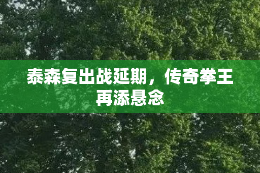 传奇拳王再添悬念图片