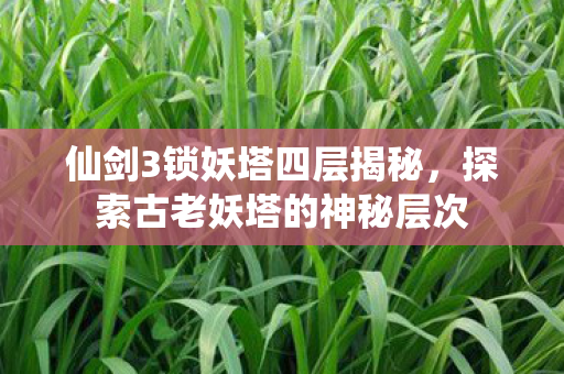 探索古老妖塔的神秘层次图片