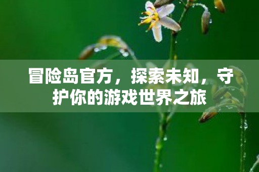 守护你的游戏世界之旅图片