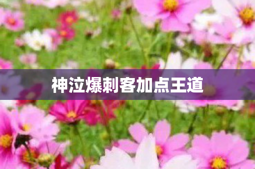 神泣爆刺客加点王道图片
